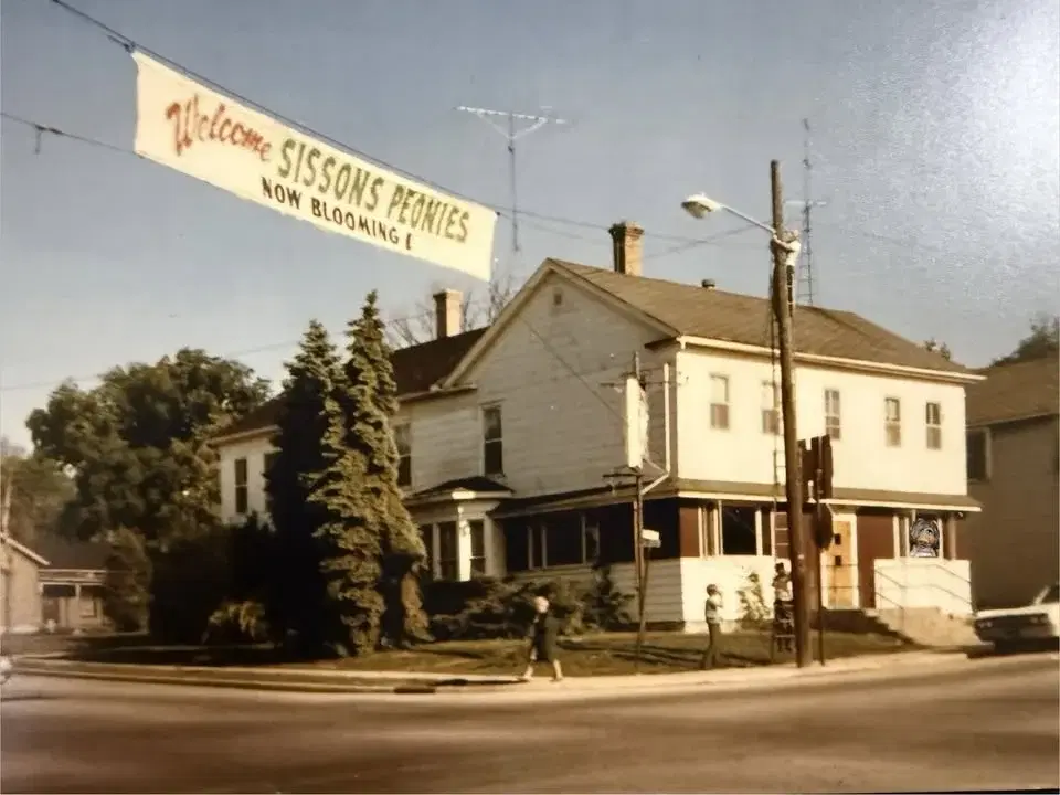 Stories of John Johns