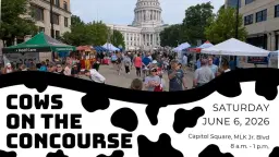 Cows on the Concourse