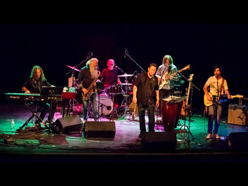 Paper Sun: The Music of Traffic