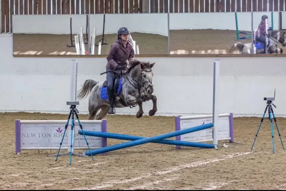 Cant Jump Wont Jump Series