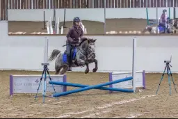 Cant Jump Wont Jump Series