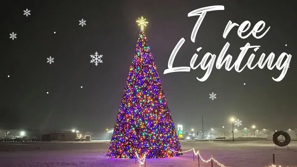 Tree Lighting