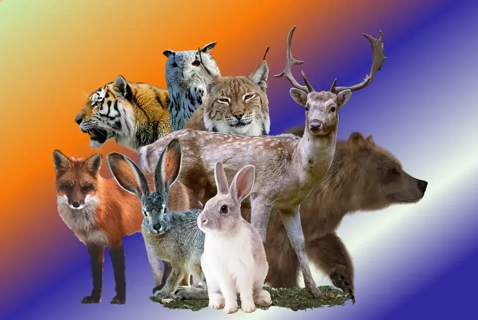 Therians och furries-träff