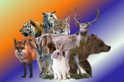 Therians och furries-träff