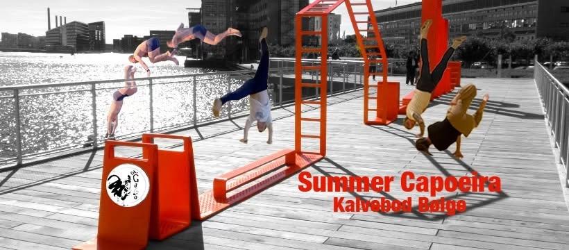 Summer Capoeira - Kalvebod Bølge - Cm.Galo