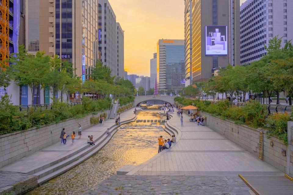 Solo travellers: casual hangout in Seoul (4pm)