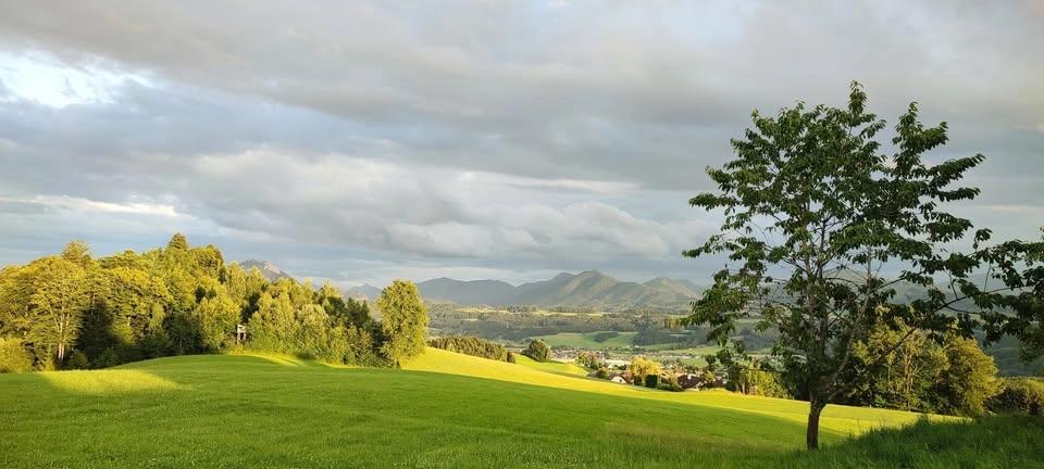 Gemütliche Abendtouren rund um Thalgau mit Eva