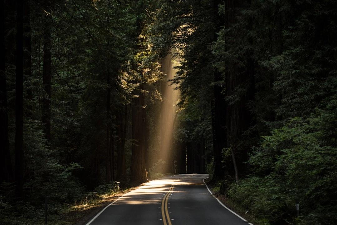 While We Still Can: The AI Revolution and Our Last Chance to Steer the Future