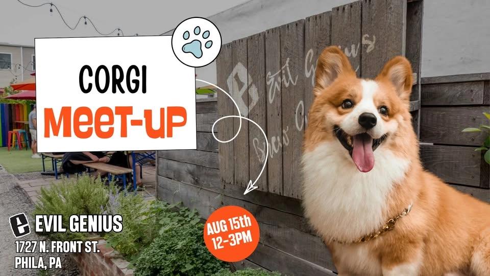 Corgi Meet-Up