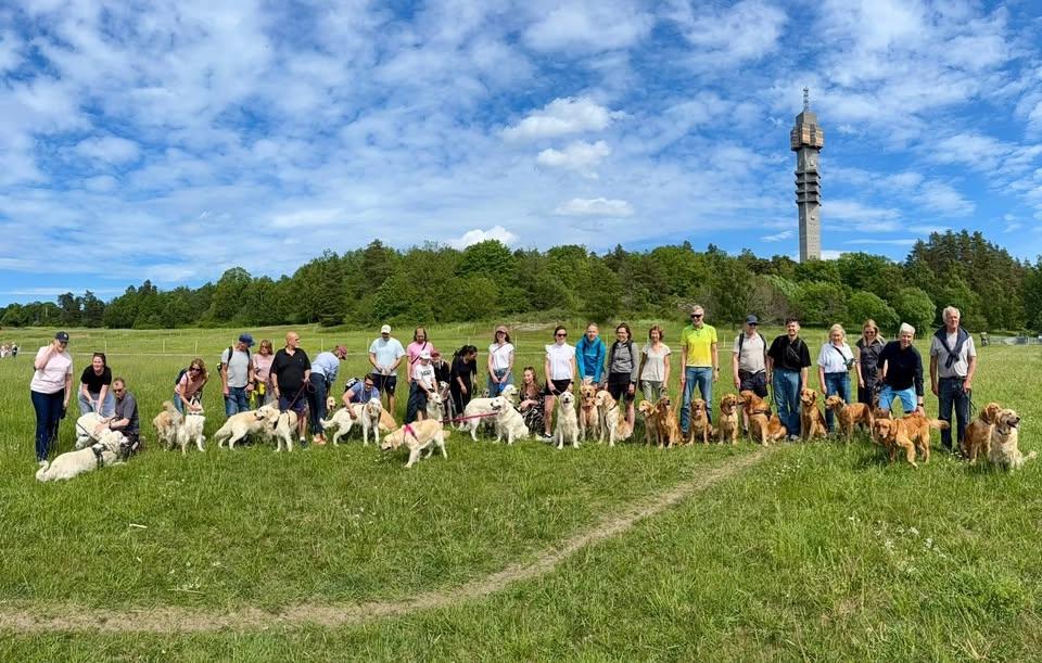 Goldenträff på Gärdet