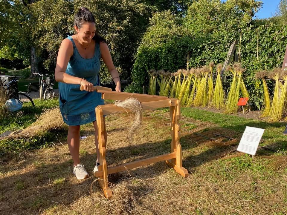 Linkveld