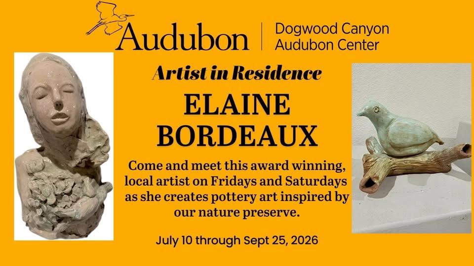 Artist in Residence