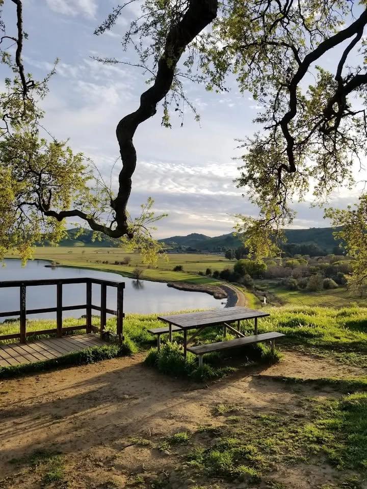 Nervous System Reset: A Nature-Based Coaching Experience #2