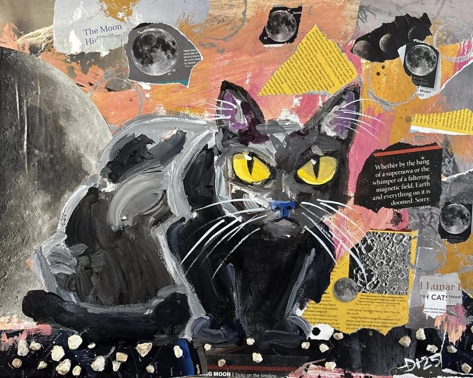 Mixed Up Cats 2026