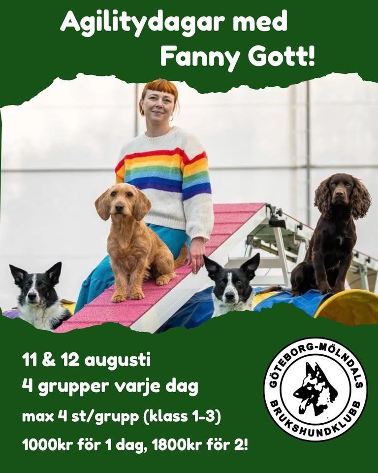 Agilitydagar med Fanny Gott hos GMBK!