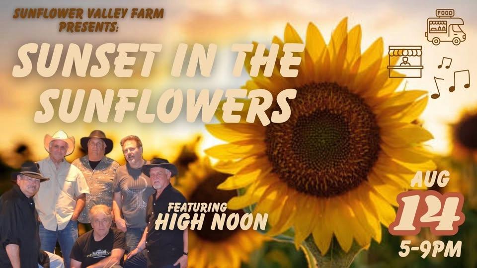 Sunset in the Sunflowers with High Noon