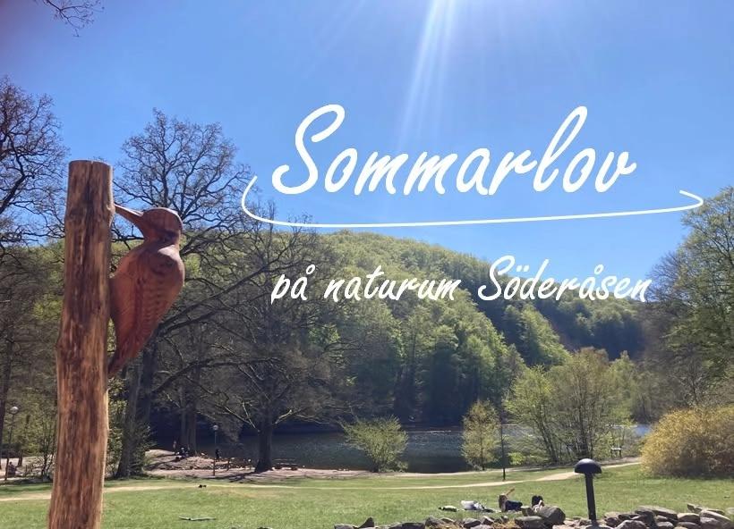 Sommarlov - naturbus på naturum Söderåsen