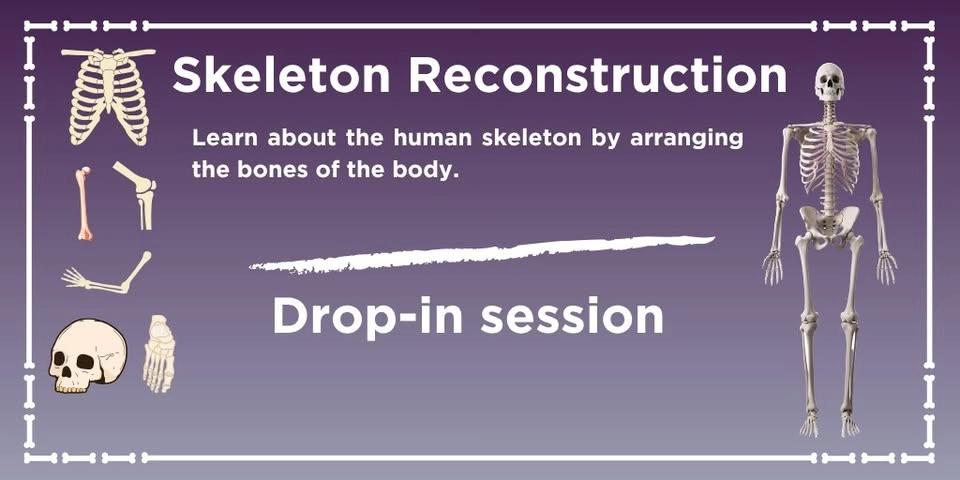 Skeleton Drop-in Session