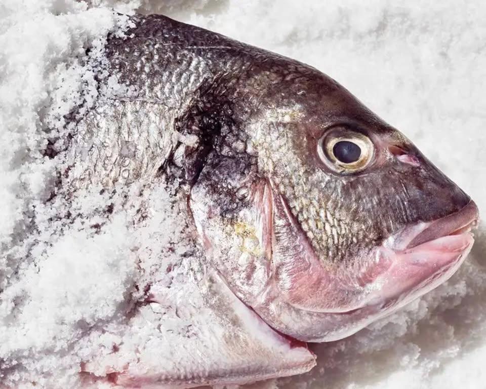 FISH - Masterclass