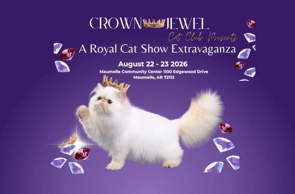 ARKANSAS ROYAL CAT SHOW EXTRAVAGANZA