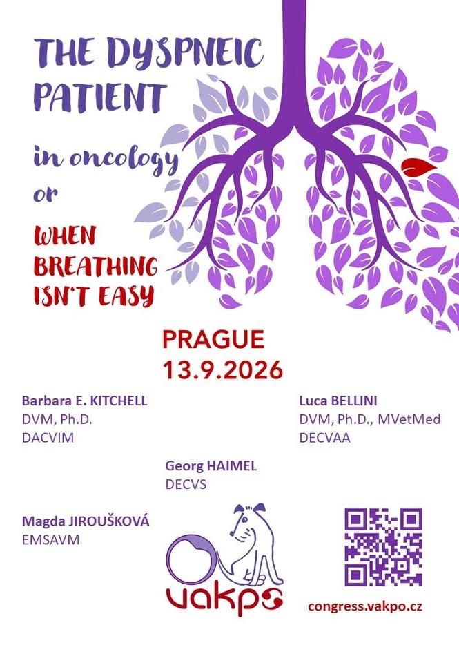 The dyspneic oncology patient or when breathing isn’t easy - VAKPO Congress 2026