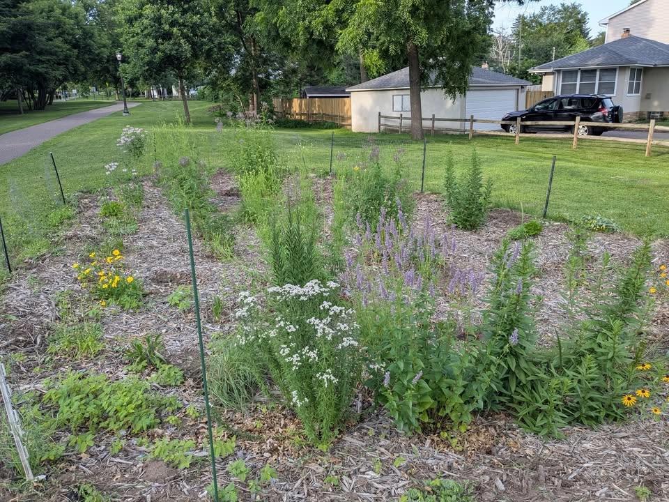 Tend Plantings - Maryland / Md South