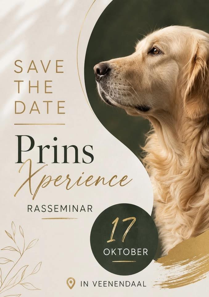 Xperience & Seminar Rasstandaard