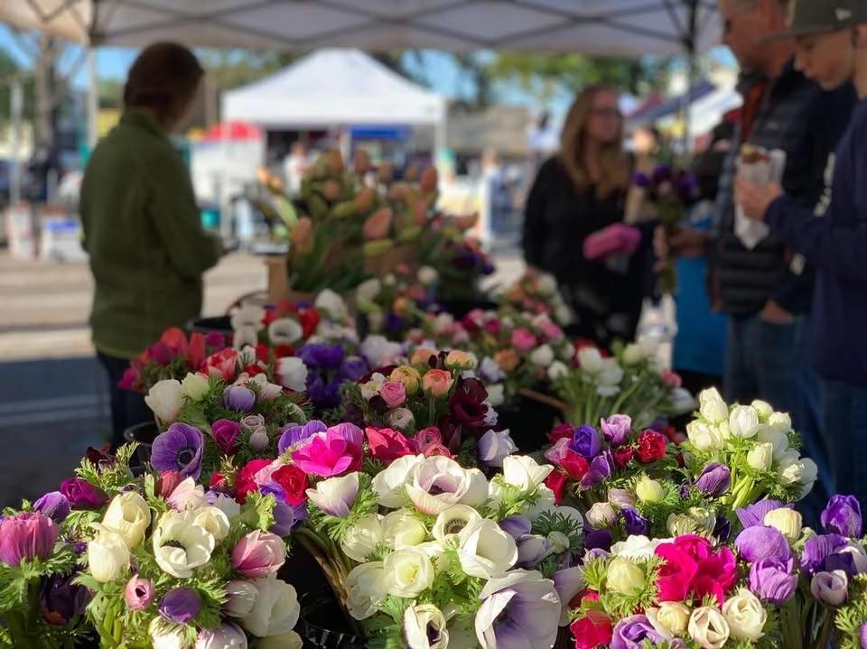Saturday Market