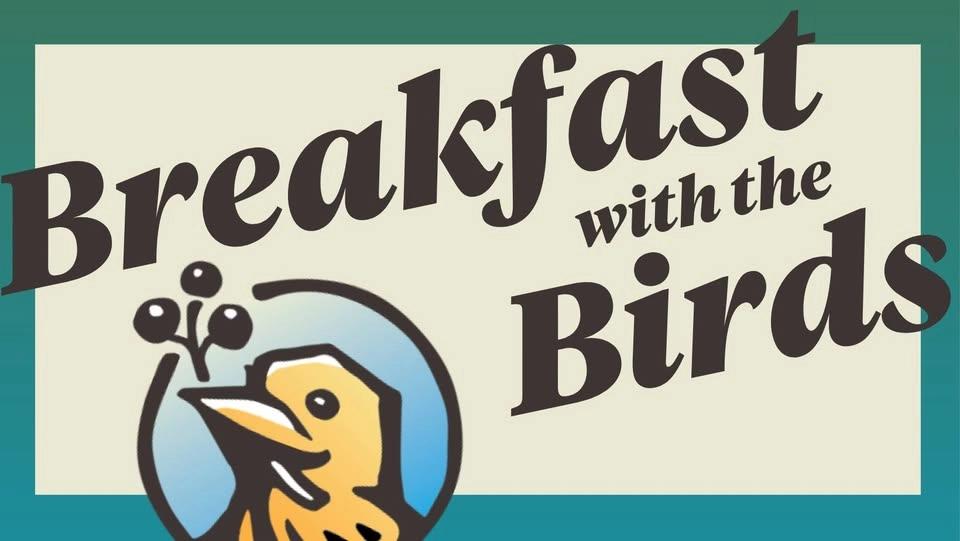 Breakfast with the Birds