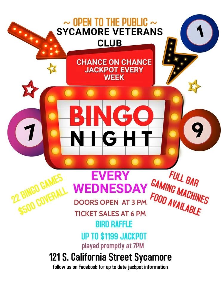 BINGO Night
