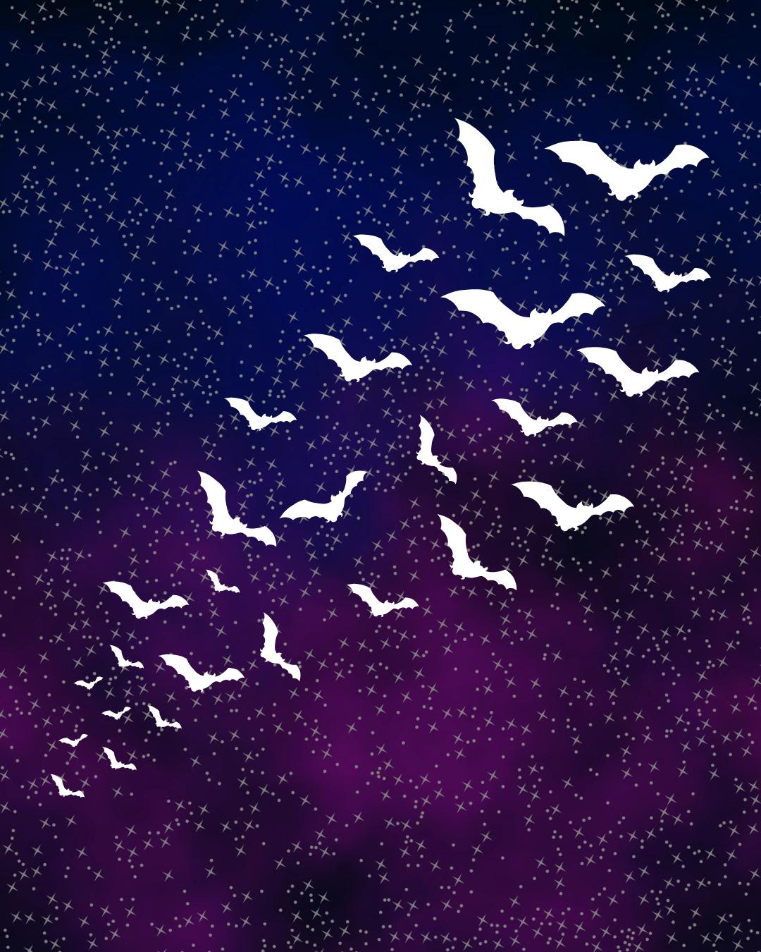 Walk + Talk with BATS!