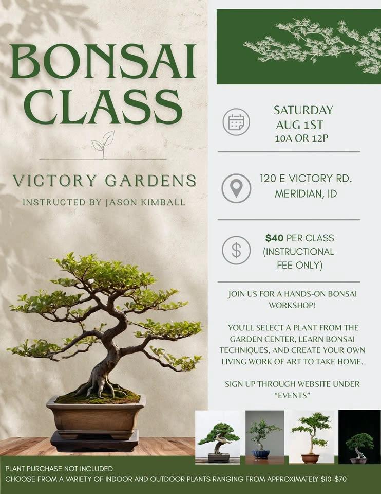 Bonsai Workshop