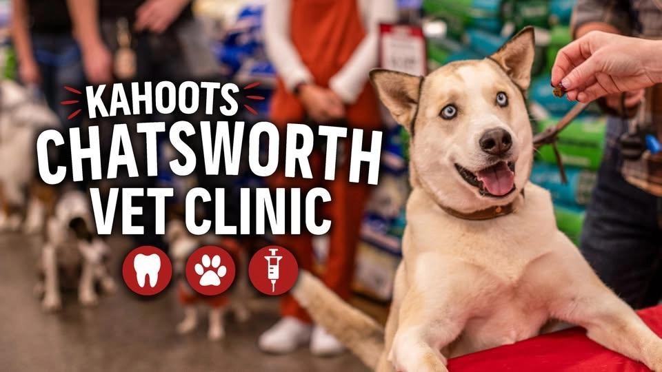 Low Stress Vet Clinic & Teeth Cleaning
