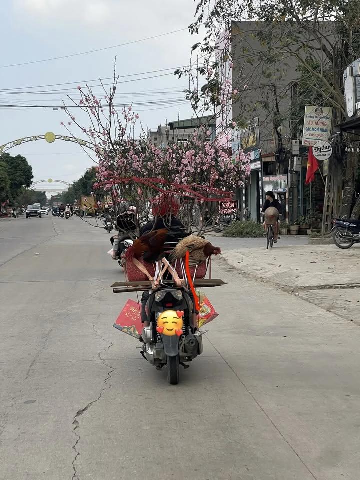 Về quê ăn tết Đinh Mùi 2027