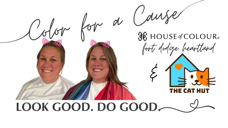 Color for a Cause: Color Analysis Benefiting The Cat Hut