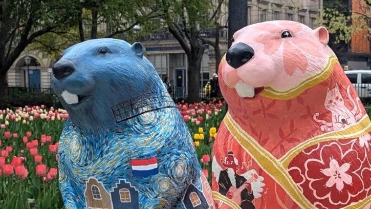 Great Beaver Hunt!! - DATE CHANGE