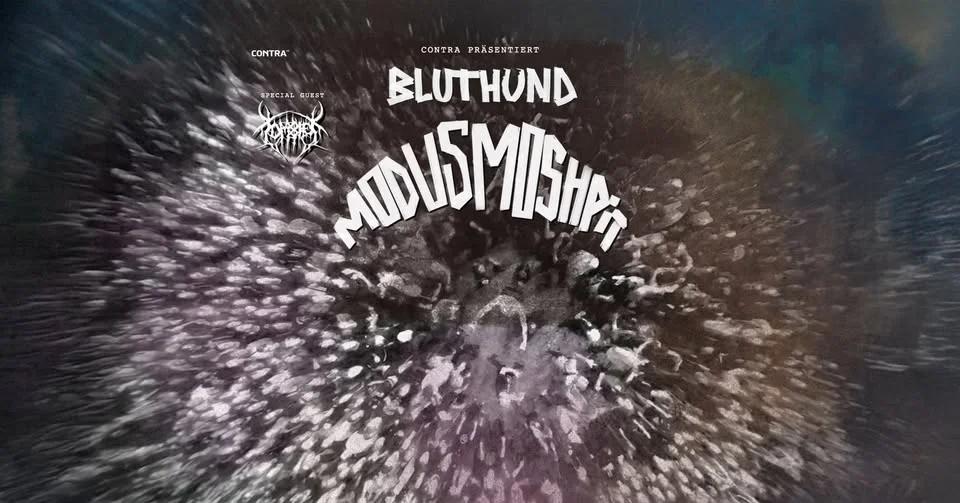 Bluthund • Viper Room • Wien