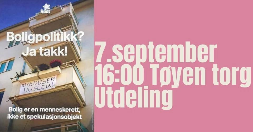 Ettermiddagsutdeling - Boligpolitikk!