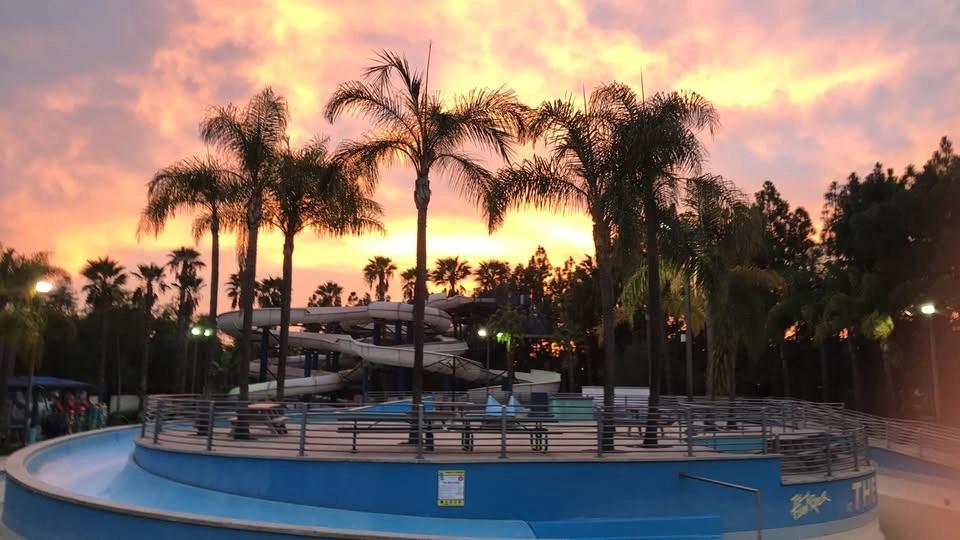 Friday Night Splash!