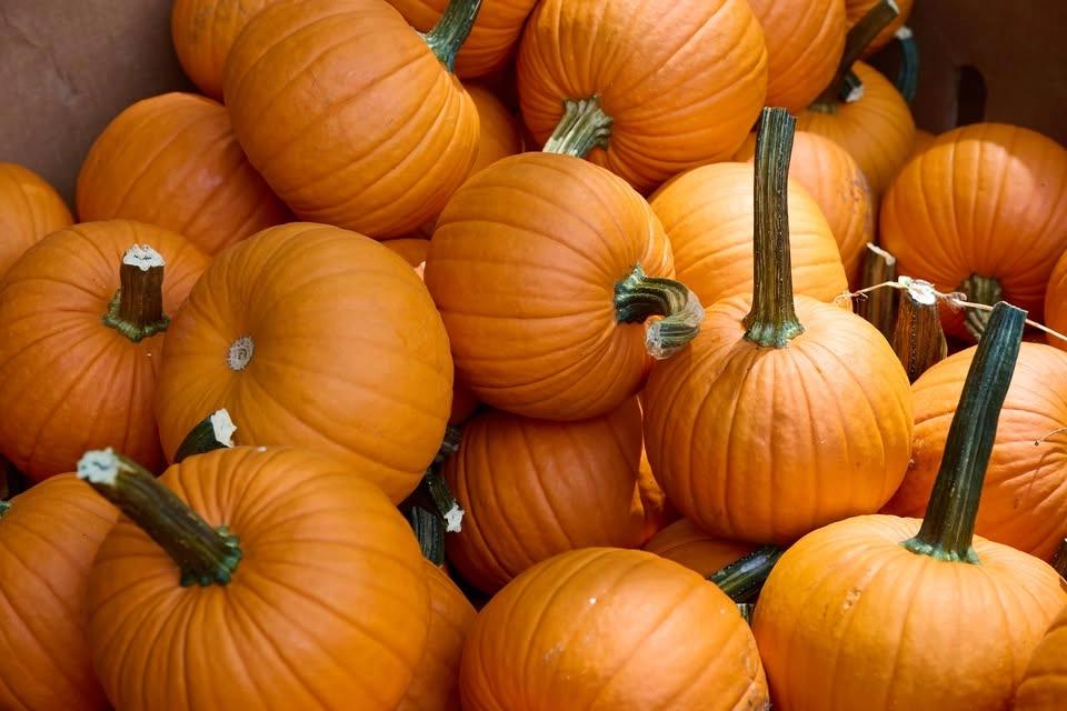 Autumn Jubilee