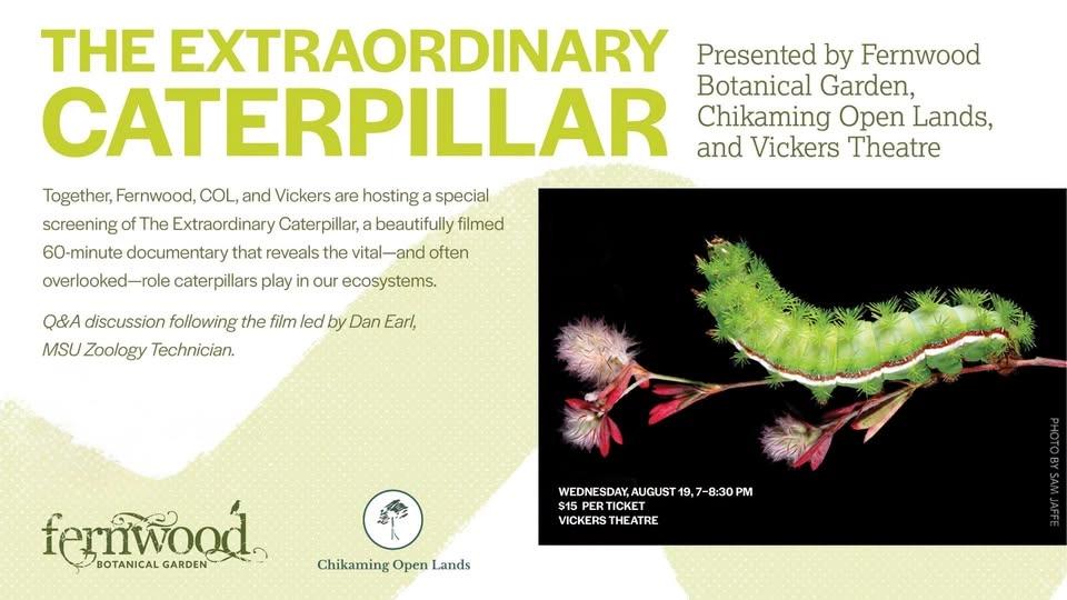 THE EXTRAORDINARY CATERPILLAR film screening