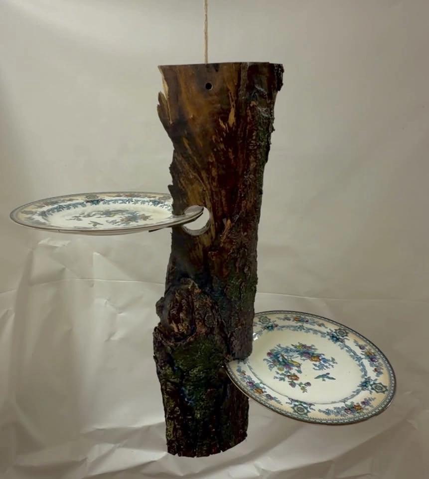 Bird Feeders