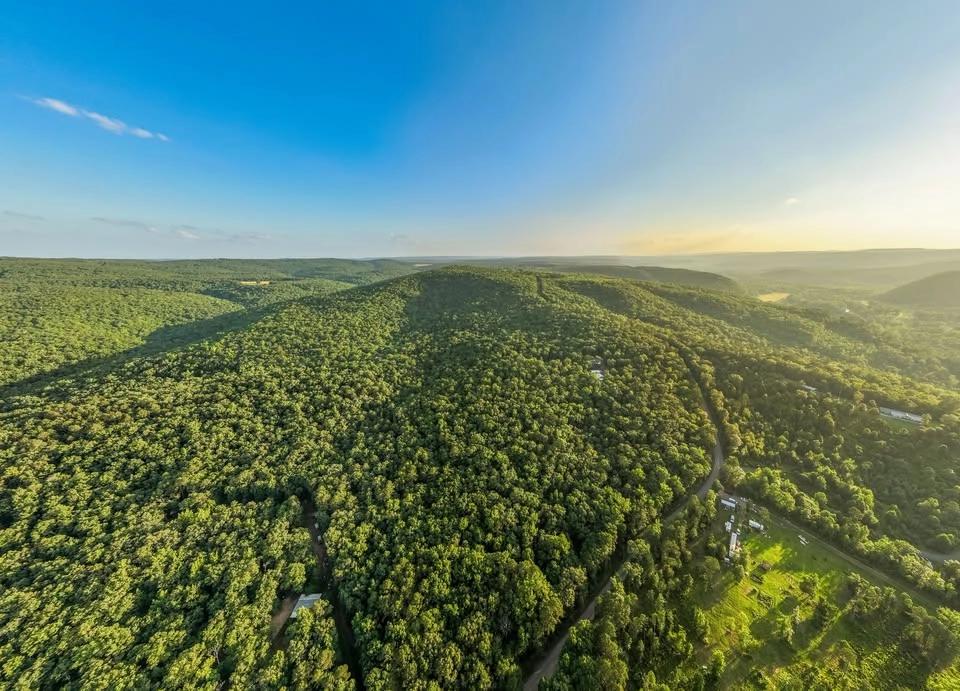 NO RESERVE BUFFALO HUMP RANCH 1,350± ACRE AUCTION – SHIRLEY, AR
