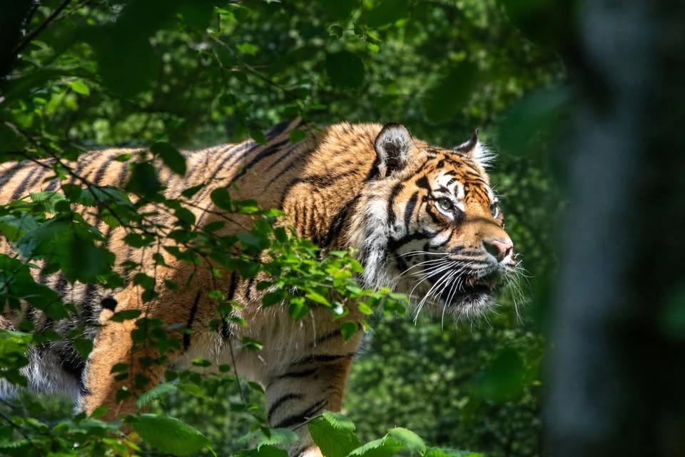Junior Nature Photography Workshop