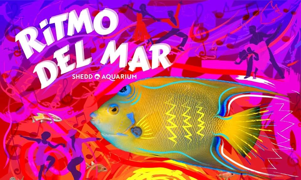 Ritmo del Mar