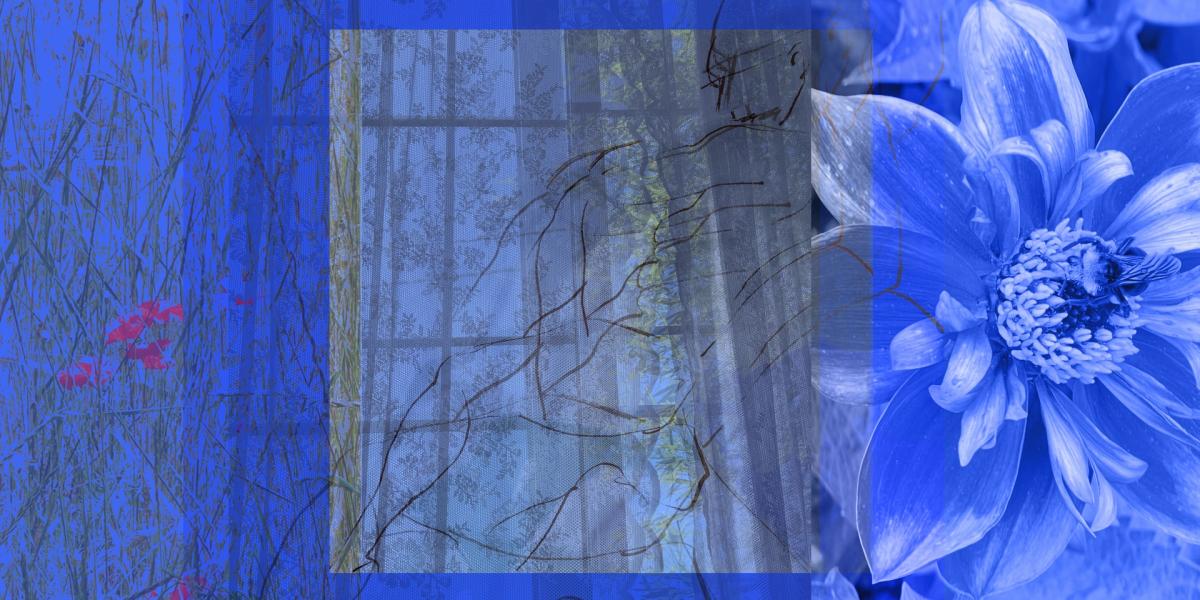 Art Opening: Susan R. Kirshenbaum