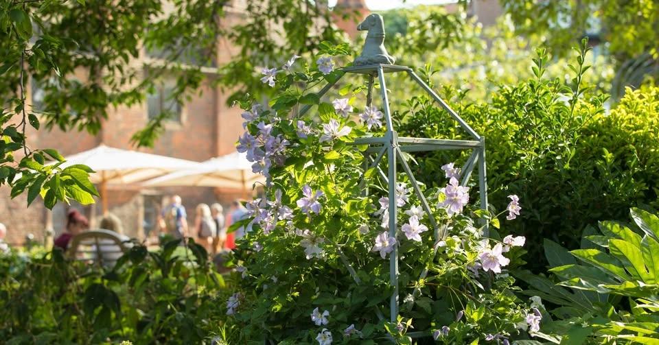 Summer Open Garden Evenings