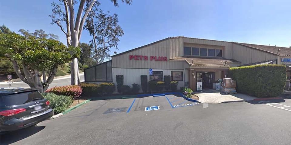 Laguna Niguel - Dog dental cleaning
