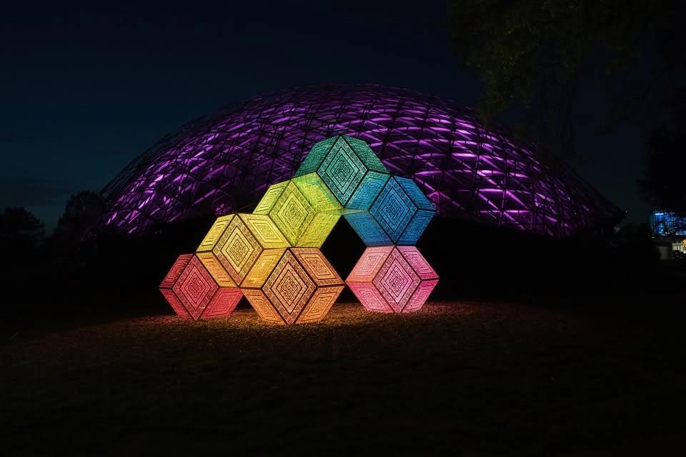 Patterns in Nature: LightForm (Nighttime Viewing)