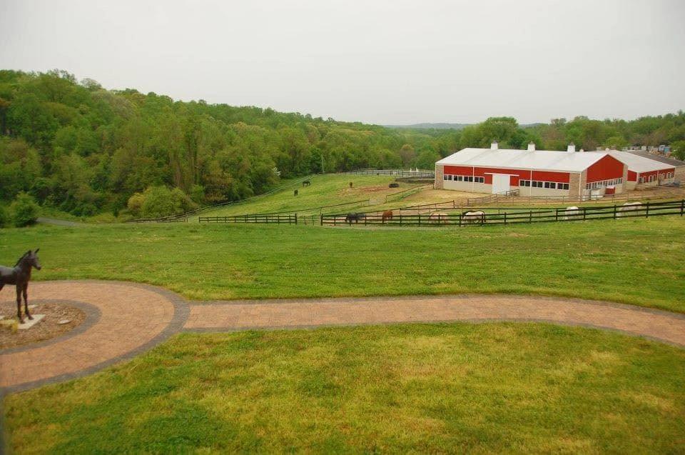 Rolling Hills Ranch CT & Dressage